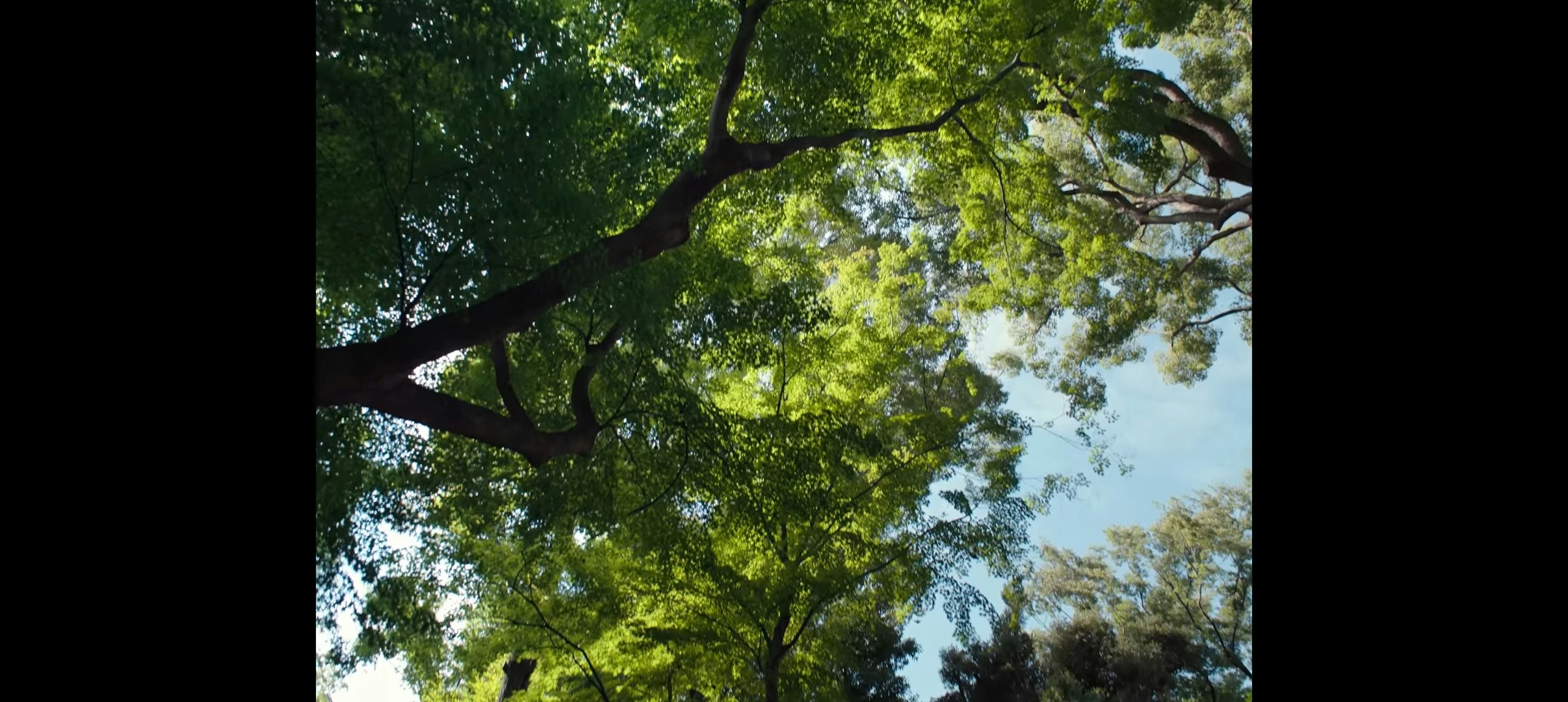 The Hirayama Table logo