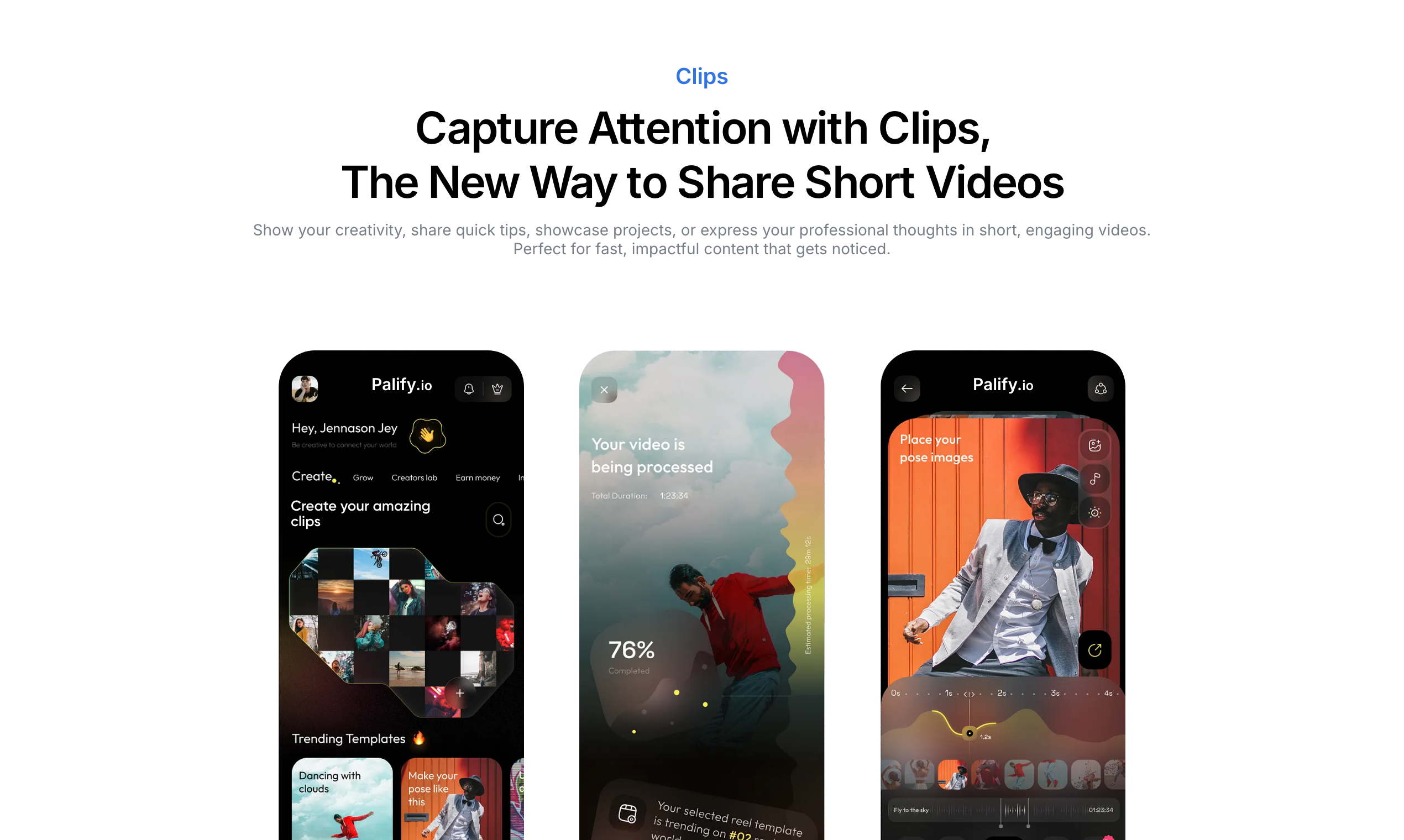 Palify 2.0 gallery image