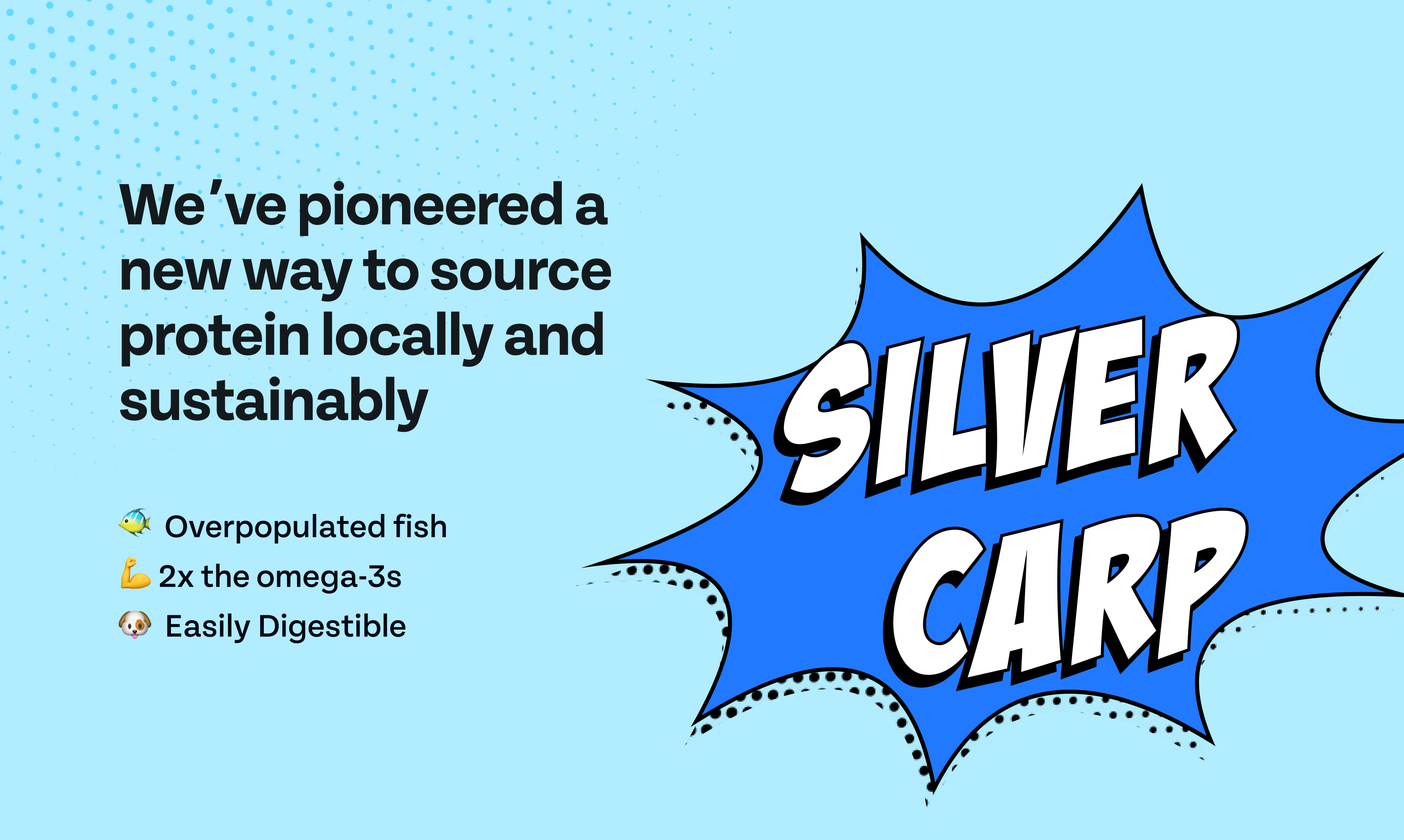 Chippin Silver Carp Daily Dog Food gallery image