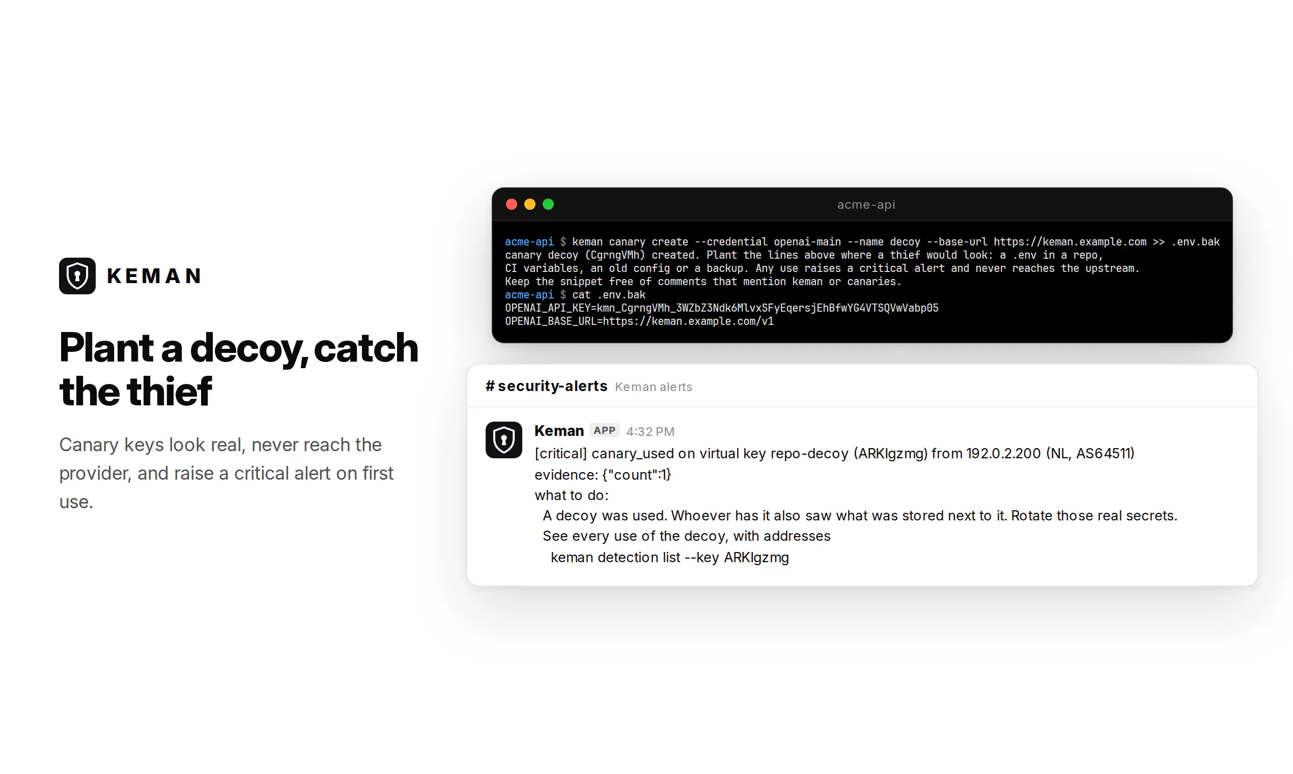 Keman - Protection from leaked API keys gallery image
