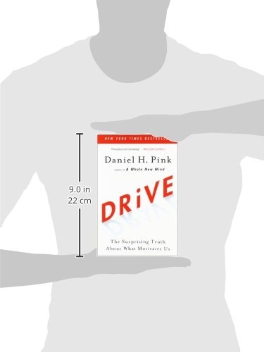 Drive: The Surprising Truth About What Motivates Us gallery image