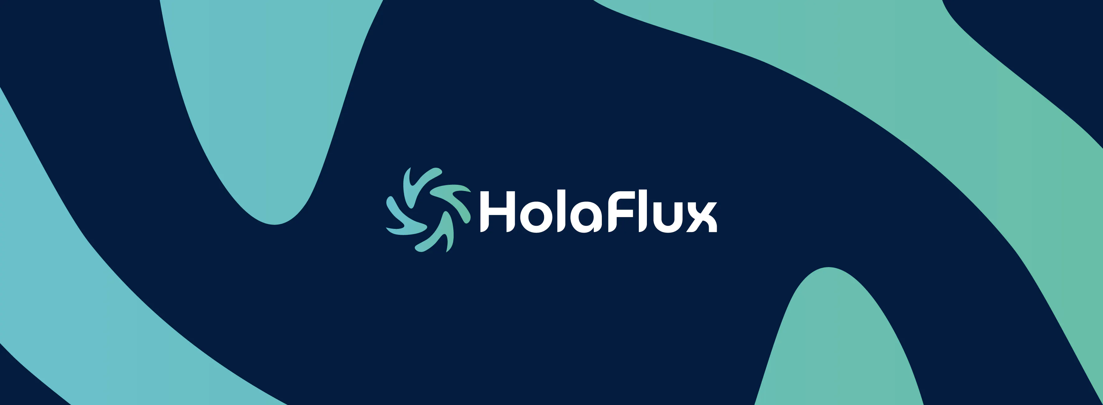HolaFlux - The modern holacracy OS 專案橫幅