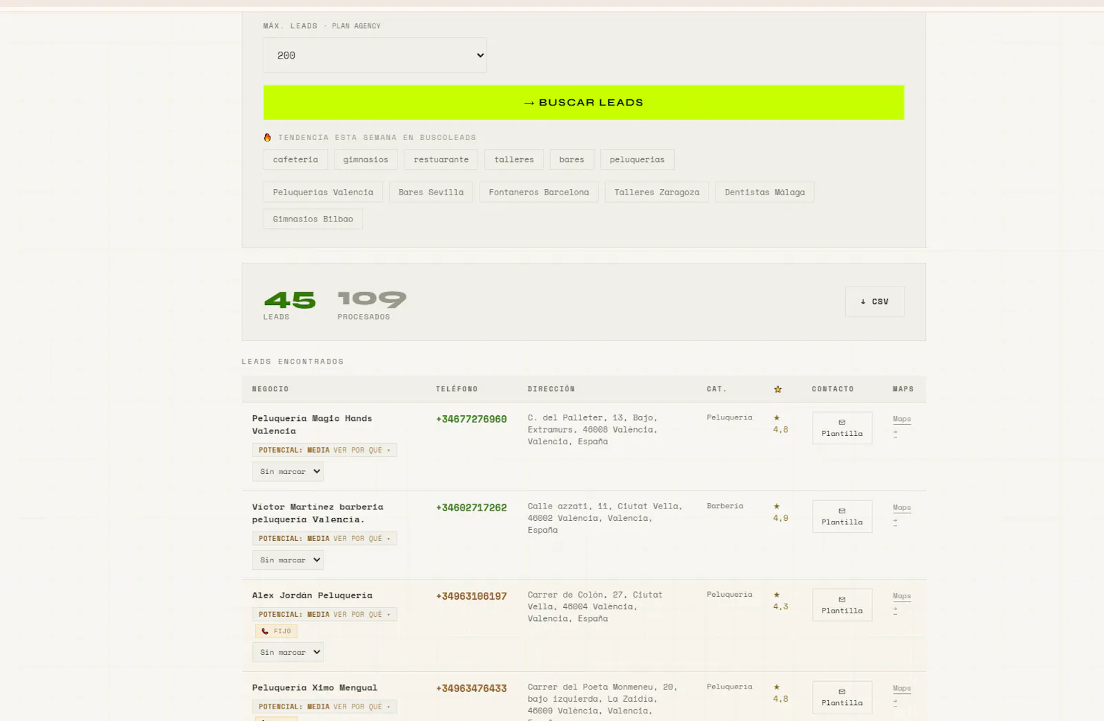 BuscoLeads screenshot 4