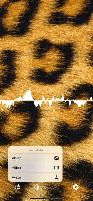 Audiom gallery image