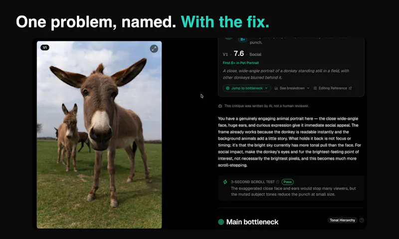 FinalFrame screenshot 3