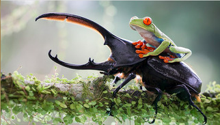 Prismatic 2.0 gallery image