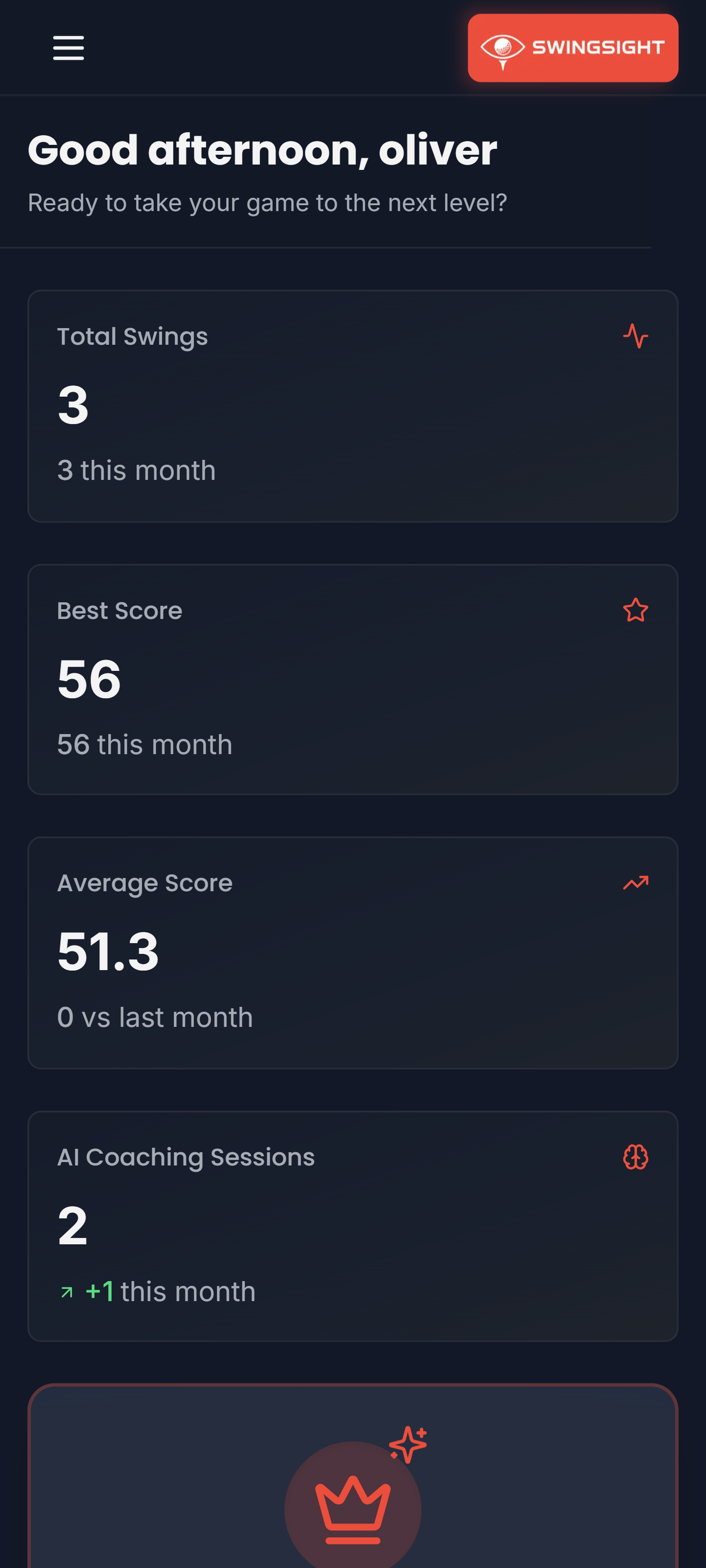 SwingSight gallery image