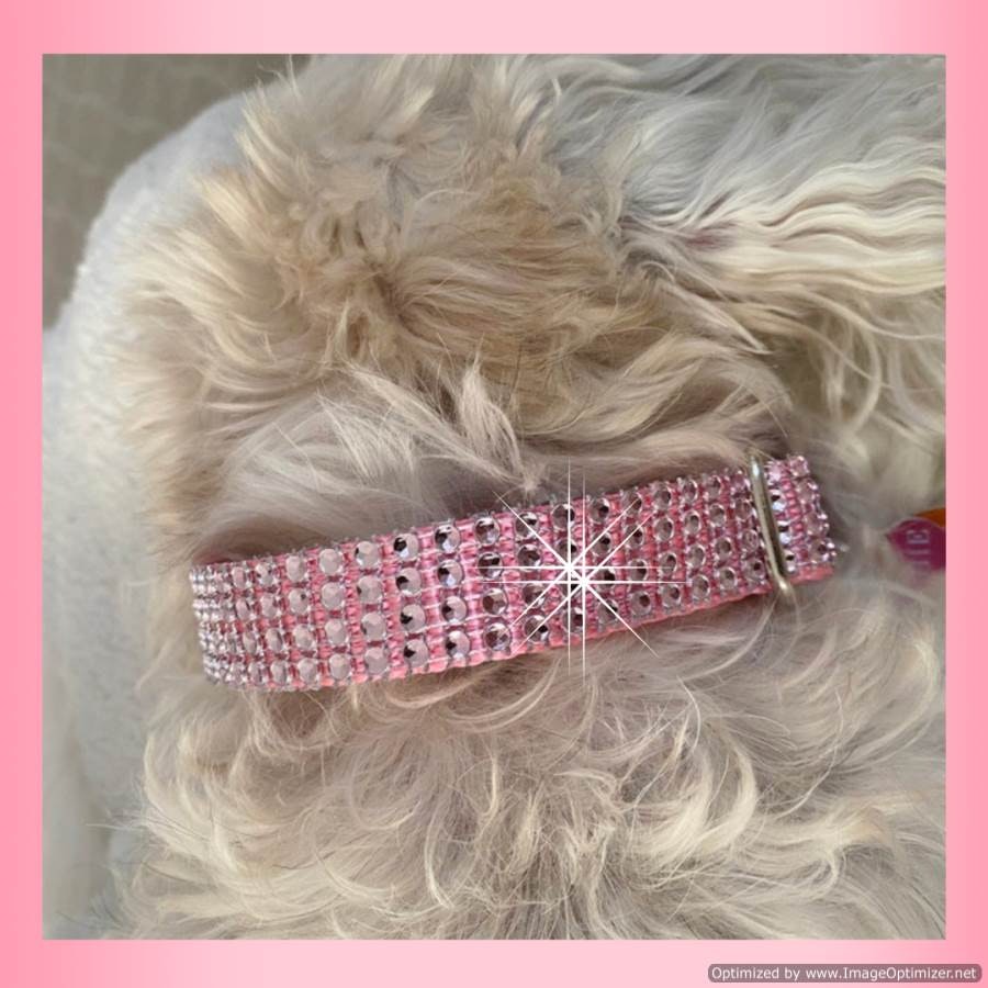 Sassy Dog Fashions®의 Bling Dog Collars ® - 멋진 개 칼라, 블링 베이비 핑크 라인 스톤 개 칼라. 미디어 1