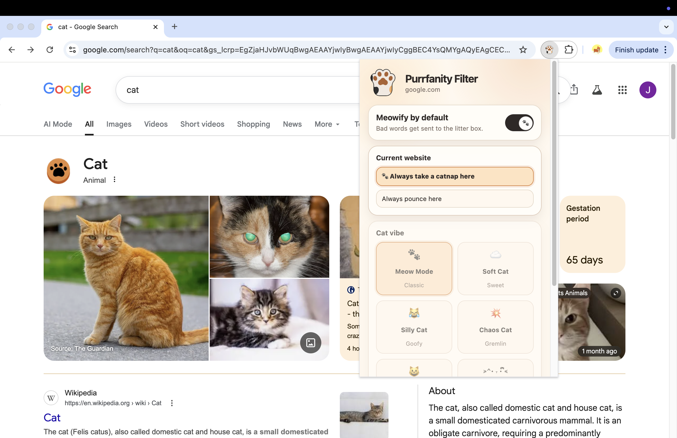 Purrfanity Filter gallery image
