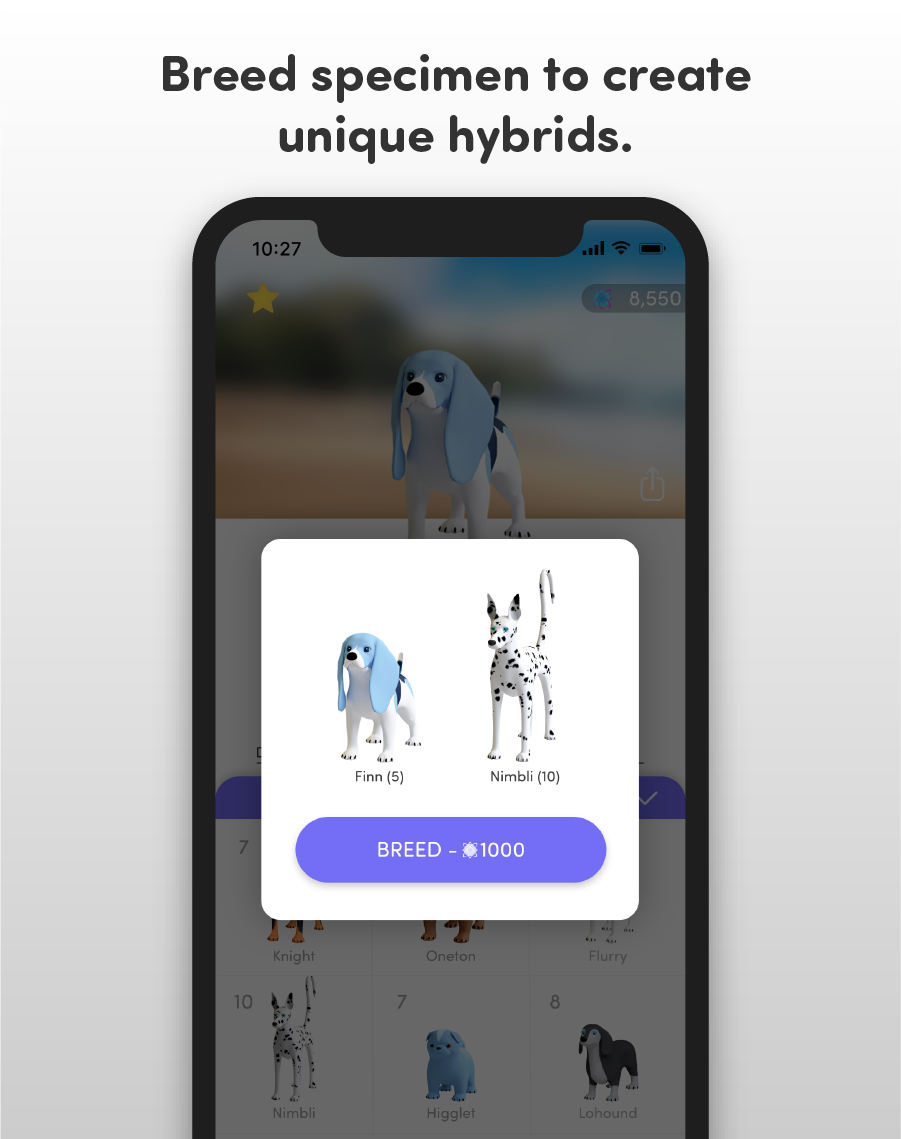 Lightdogs gallery image