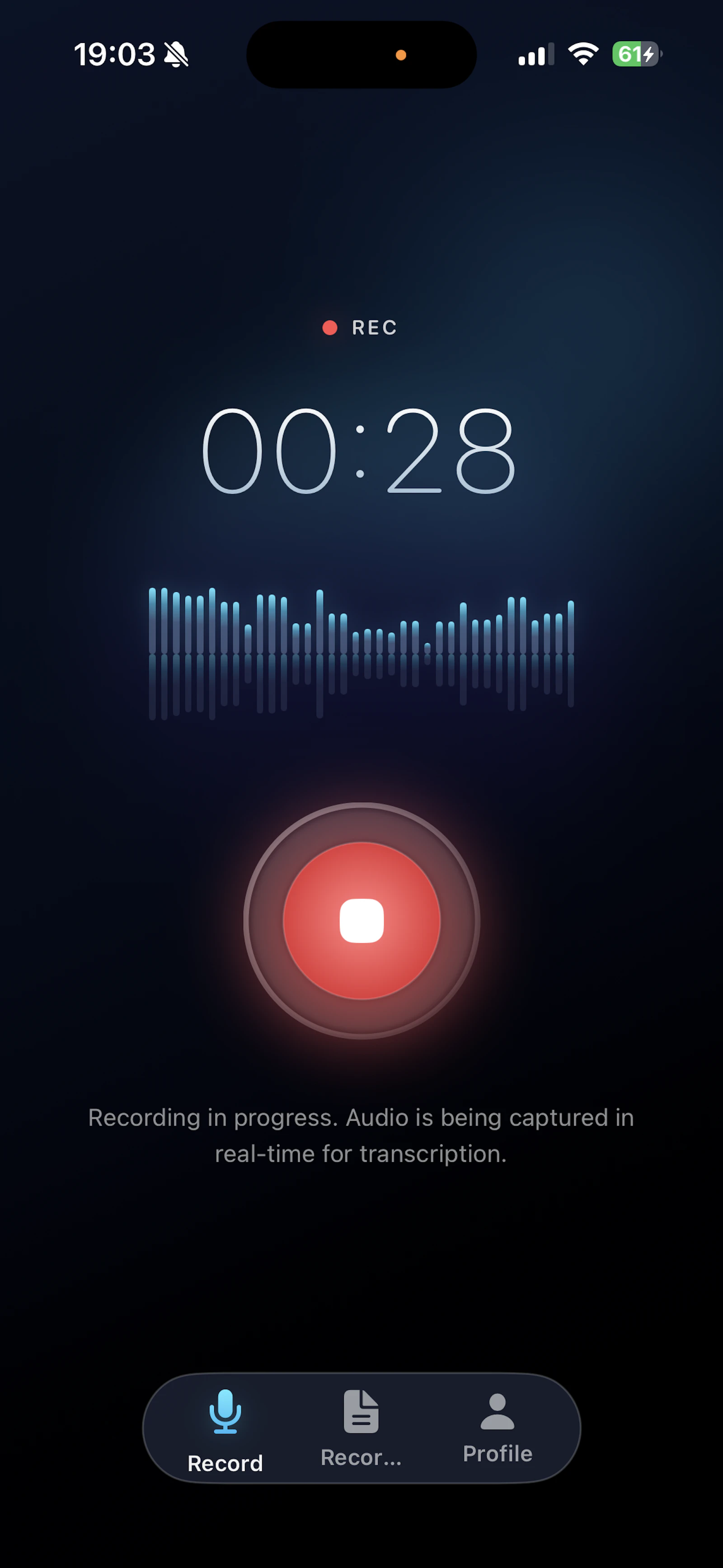 AI Local Recorder screenshot 1