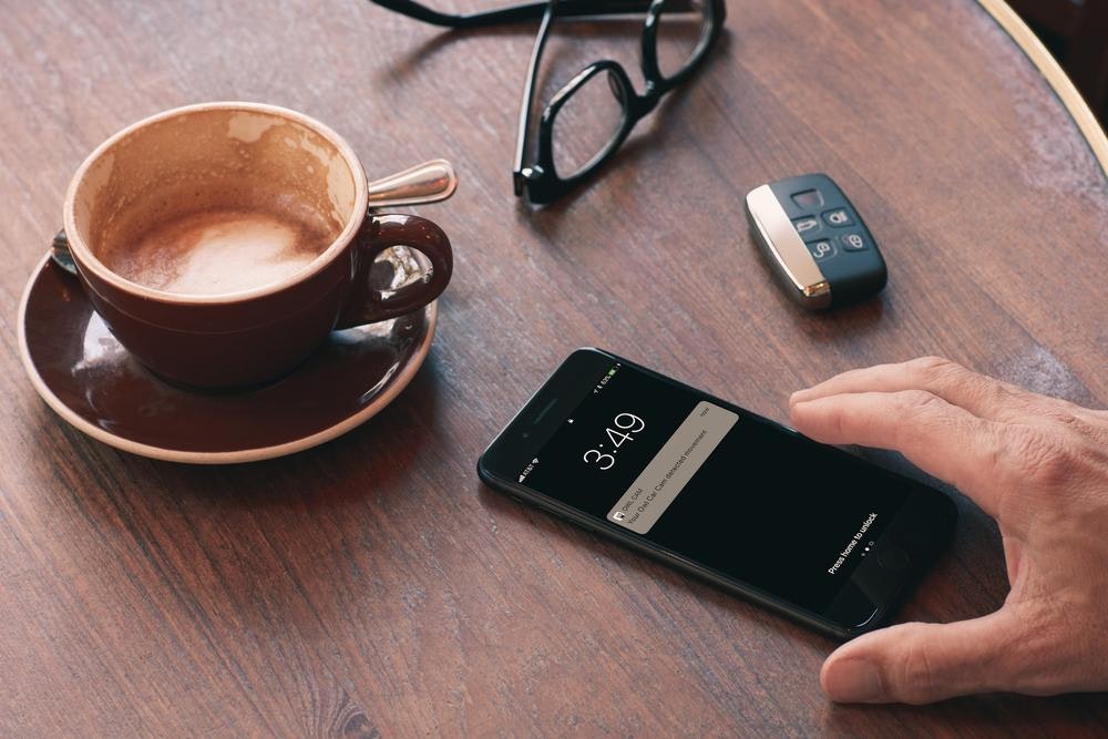 Owl Car Cam gallery image