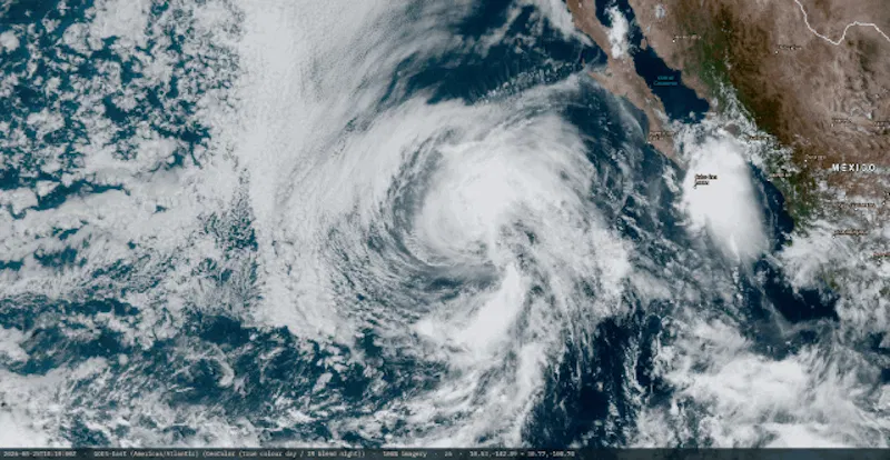Metis Weather Feeds screenshot 2
