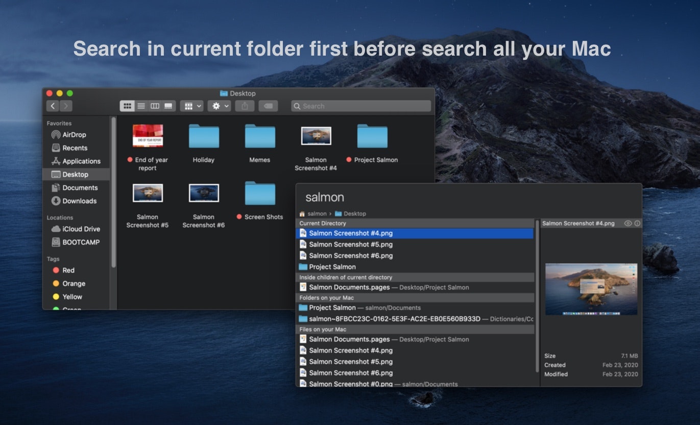 Salmon gallery image