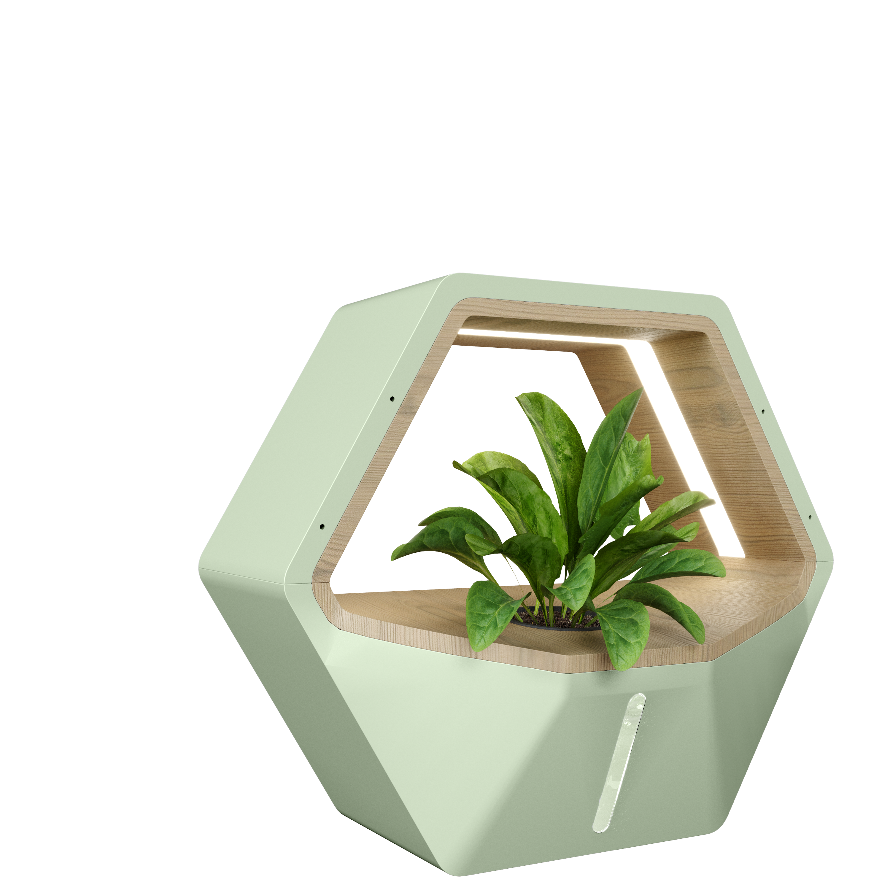 Bee Leaf Planter gallery image