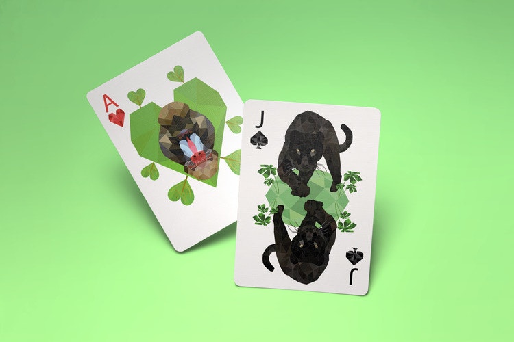 Jungle Jumble gallery image