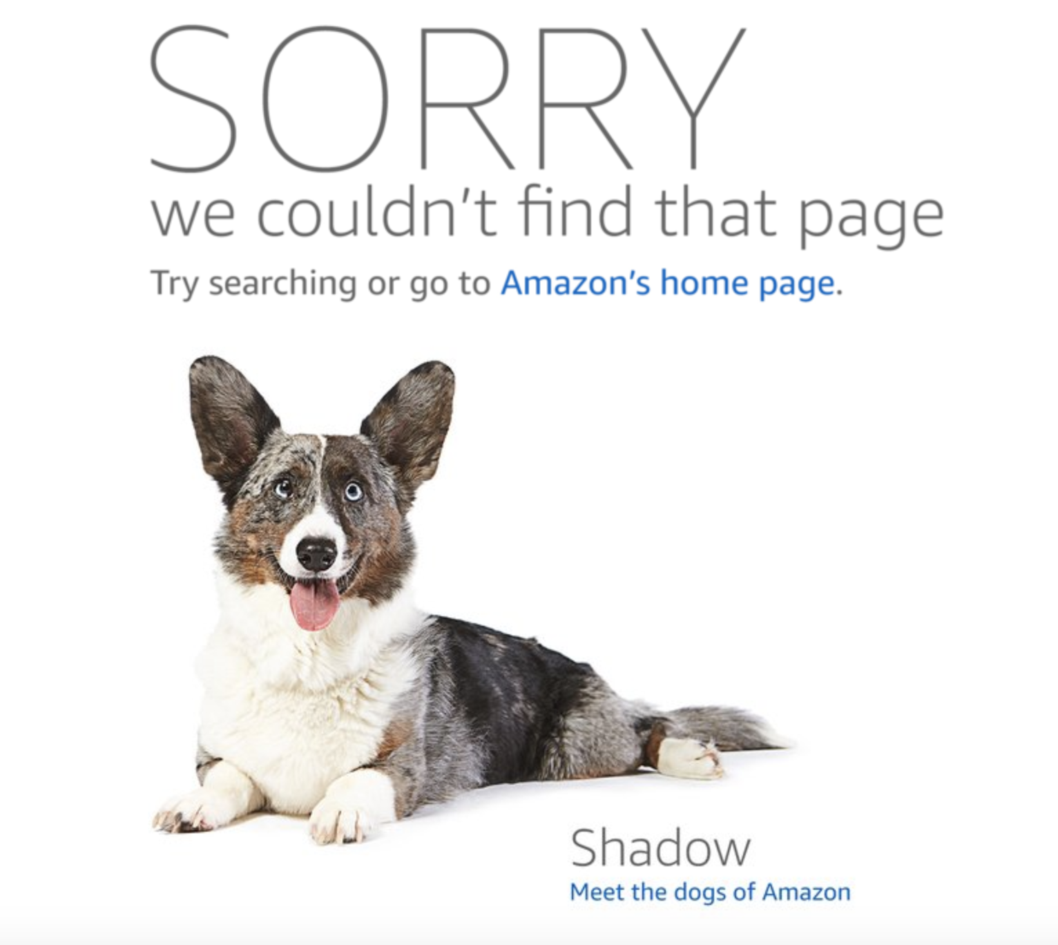 Microcopy Inspirations gallery image