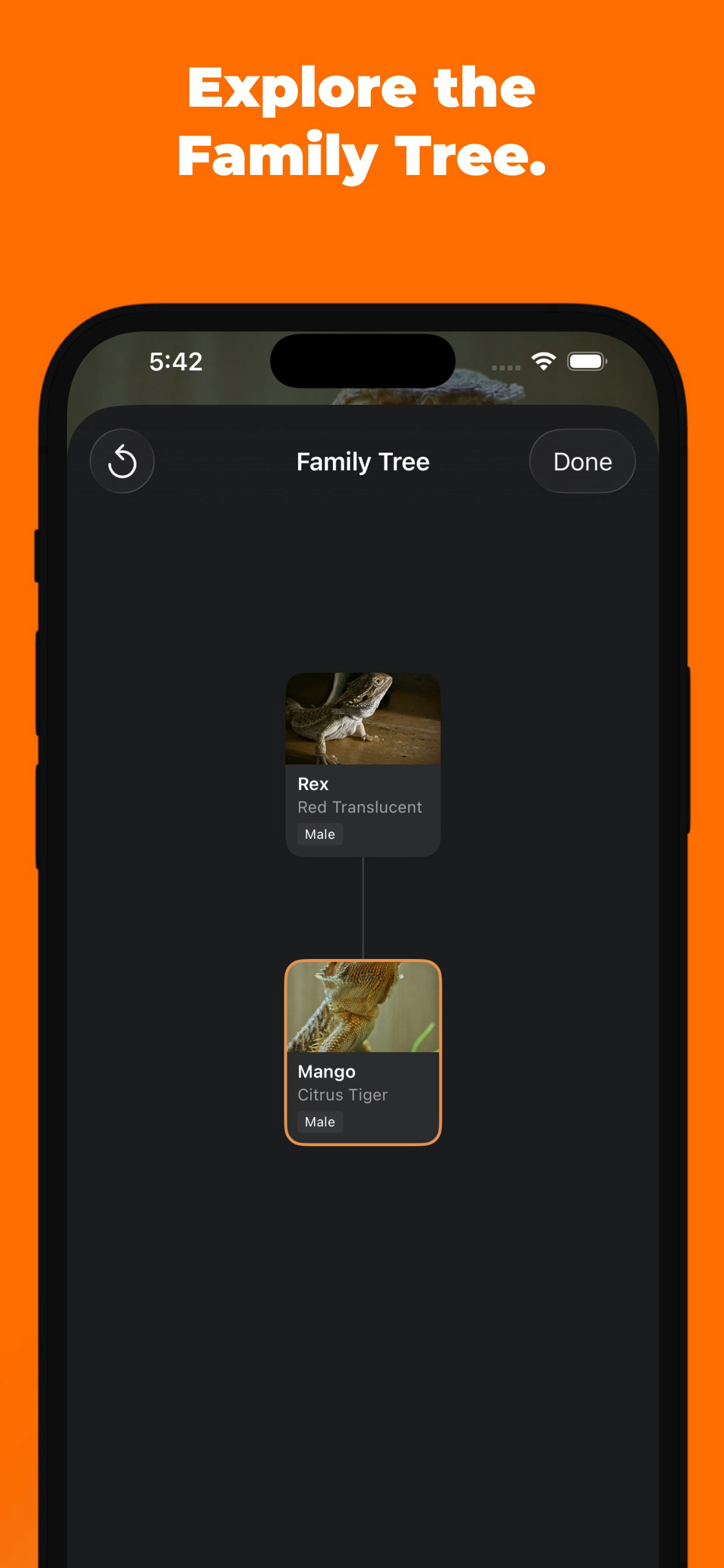 Beardie Days gallery image