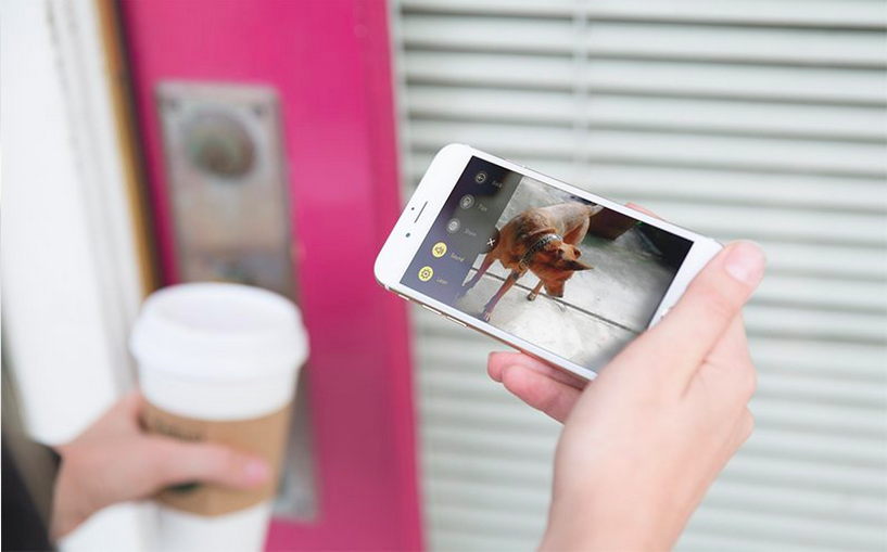 petcube alternatives