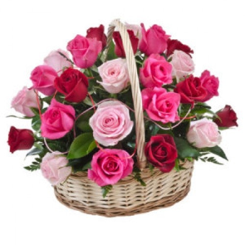 Rose Flower Product Information Latest Updates And Reviews 2024   6bc9ac08 B9f9 4bae 8b33 9d91f9d2ec23 