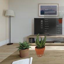 PlantMe β VisionOS AR houseplant catalog gallery image