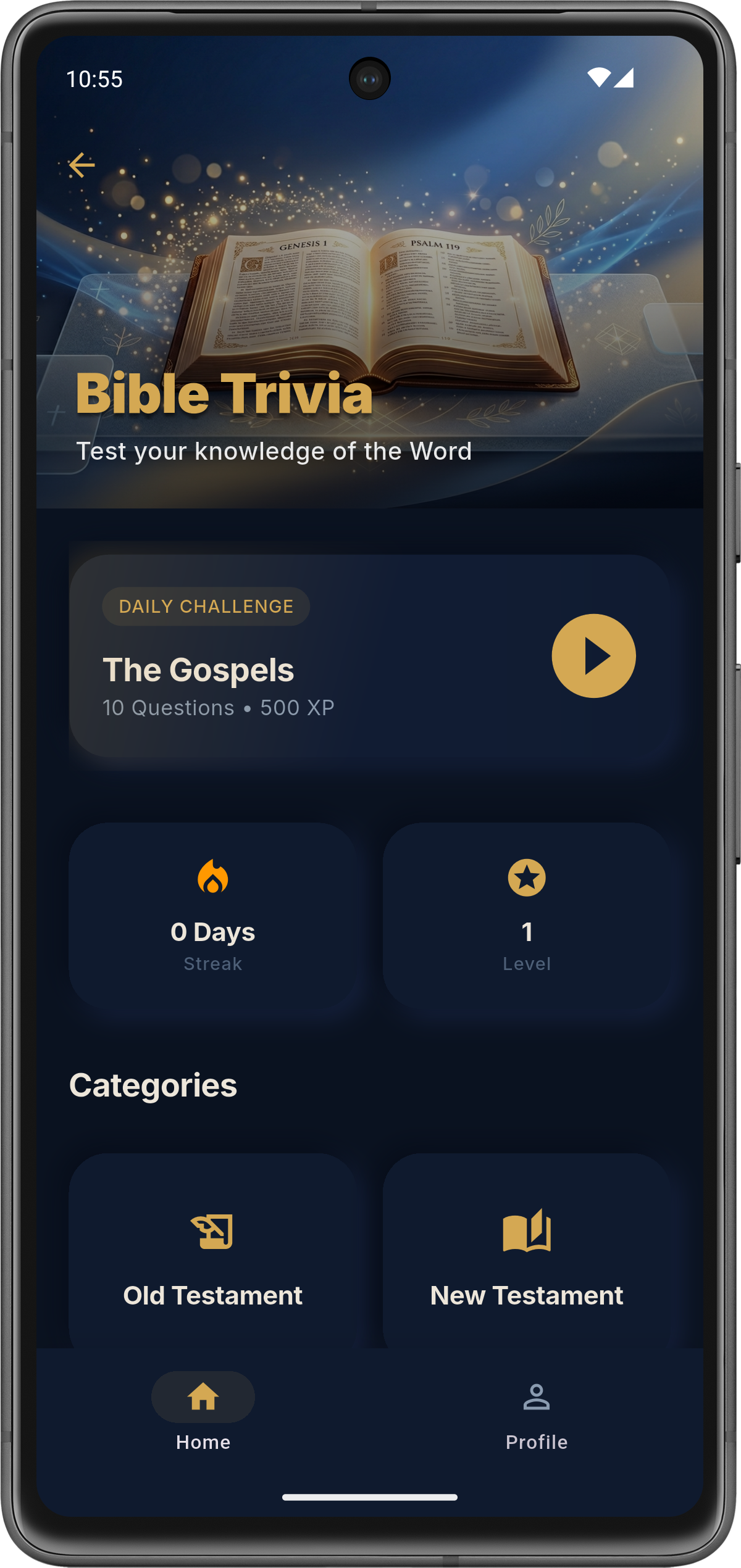 Bible Quest NIV gallery image