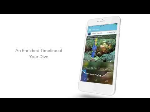 Deepblu inc gallery image