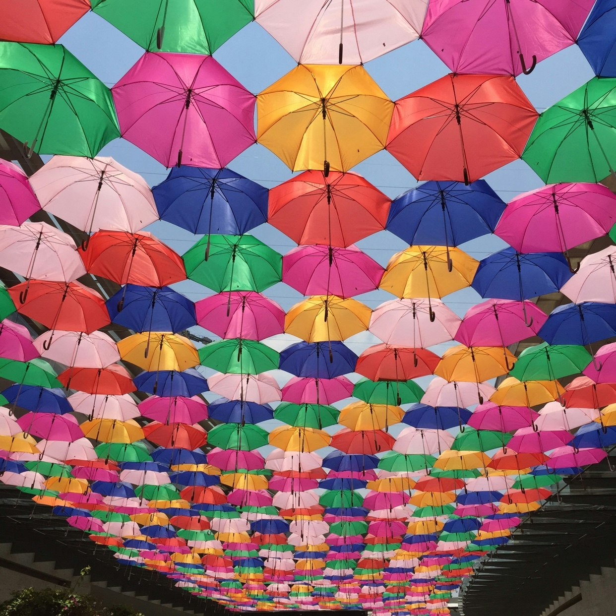 Fleck (iOS) gallery image