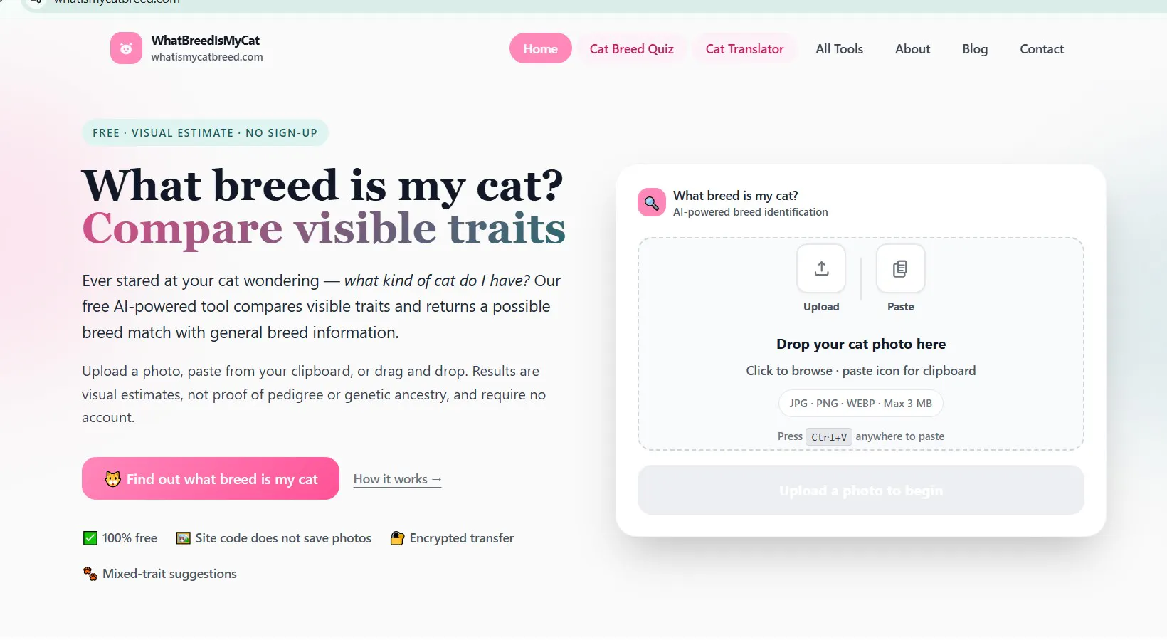 WhatIsMyCatBreed.com gallery image