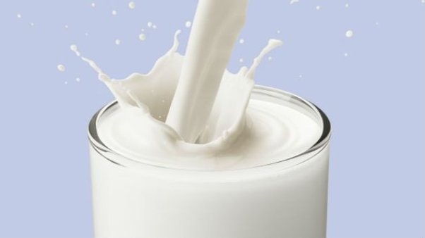 Camel Milk