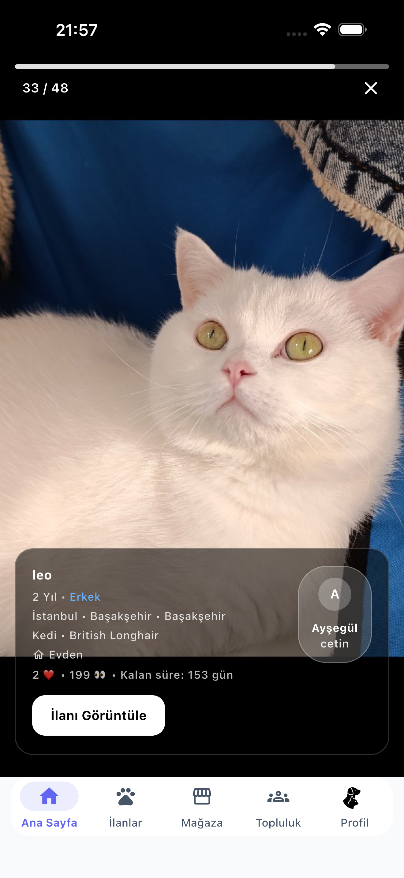 Can Dostun gallery image