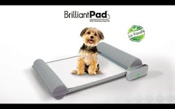 BrilliantPad: Self-Cleaning Indoor Dog Potty media 1