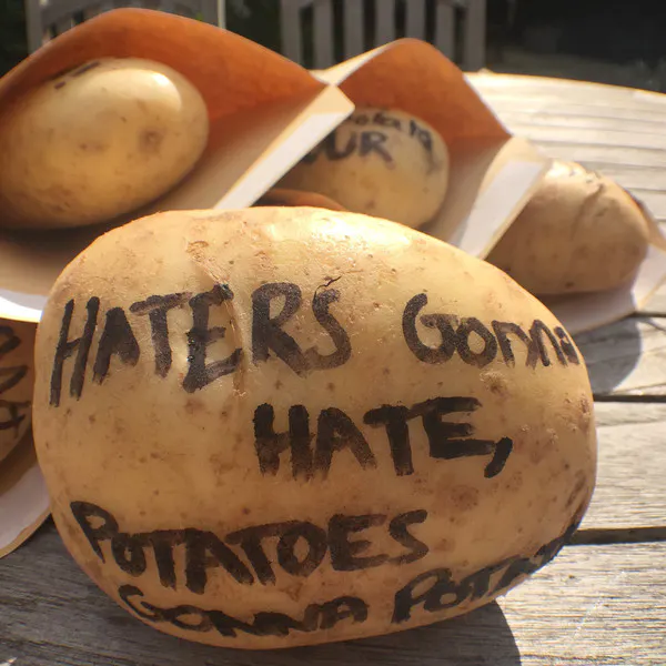 Brick or Potato