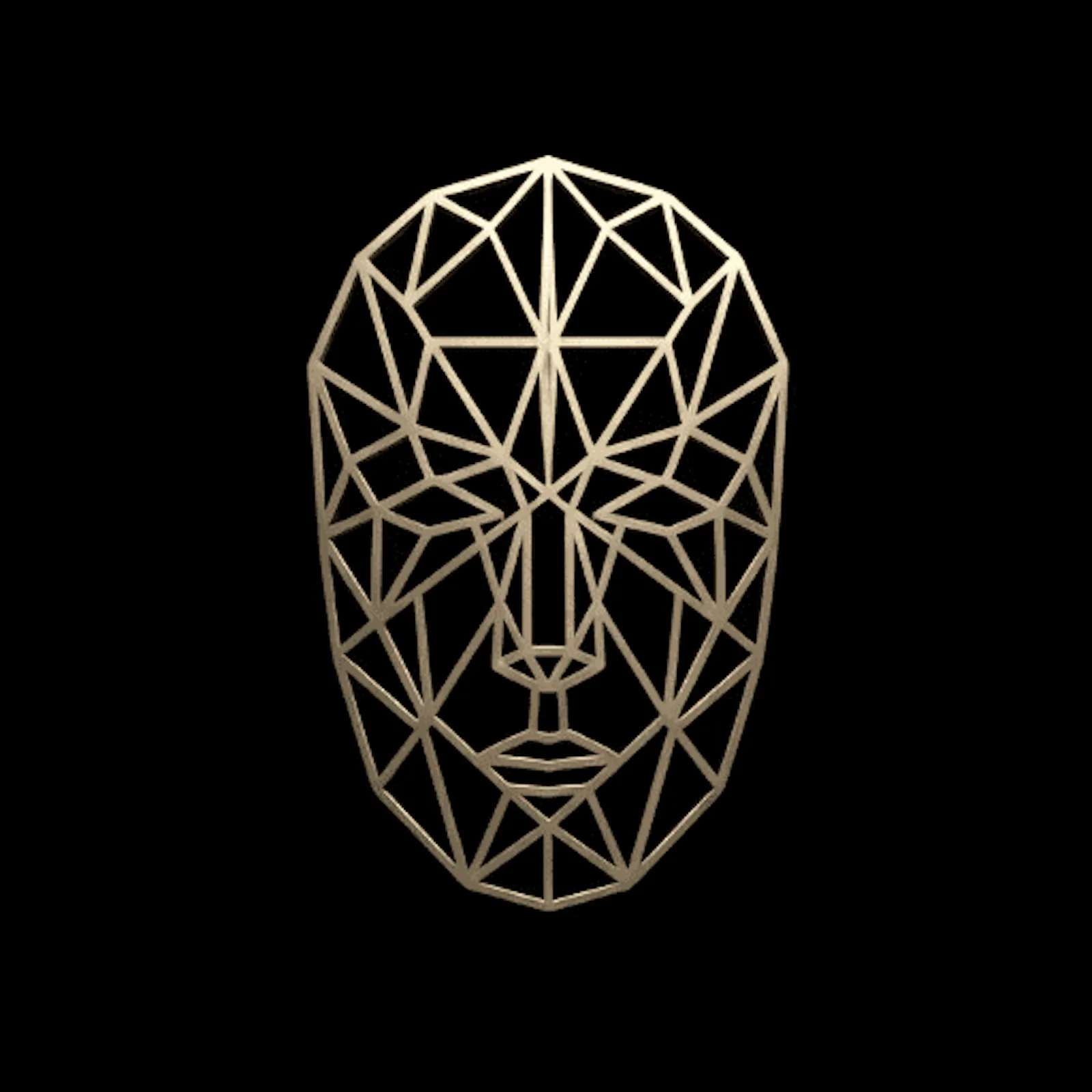 Face Matrix screenshot 1