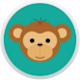 Survey Chimpanzee