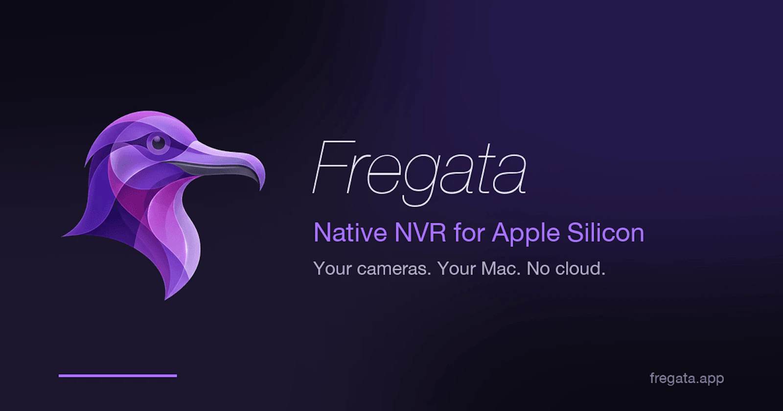 Fregata screenshot 1