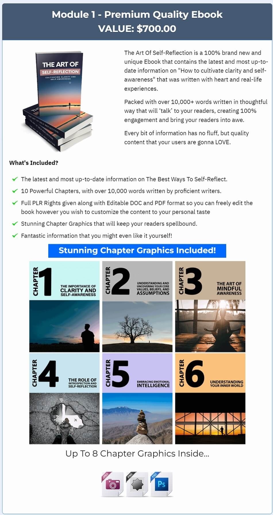 The Art Of Self-Reflection PLR Review  gallery image