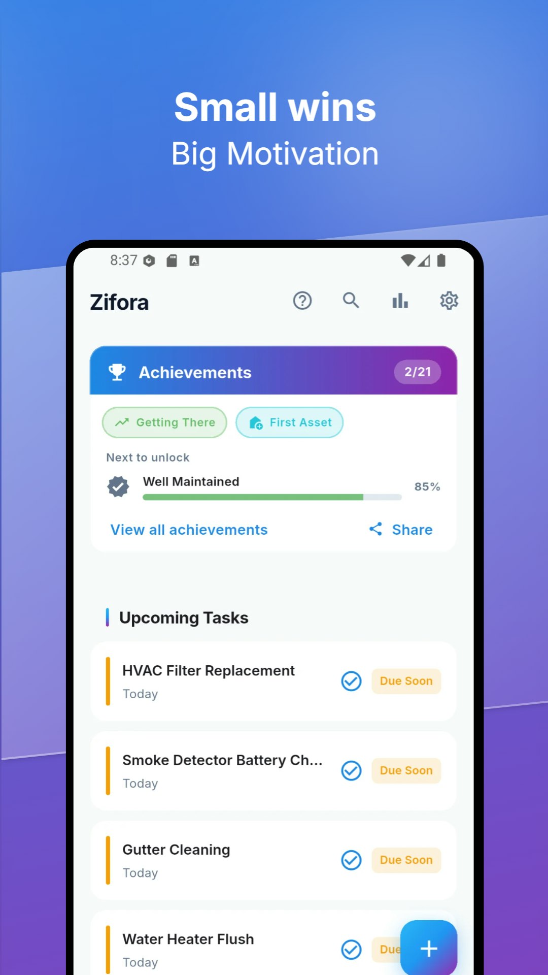 Zifora gallery image