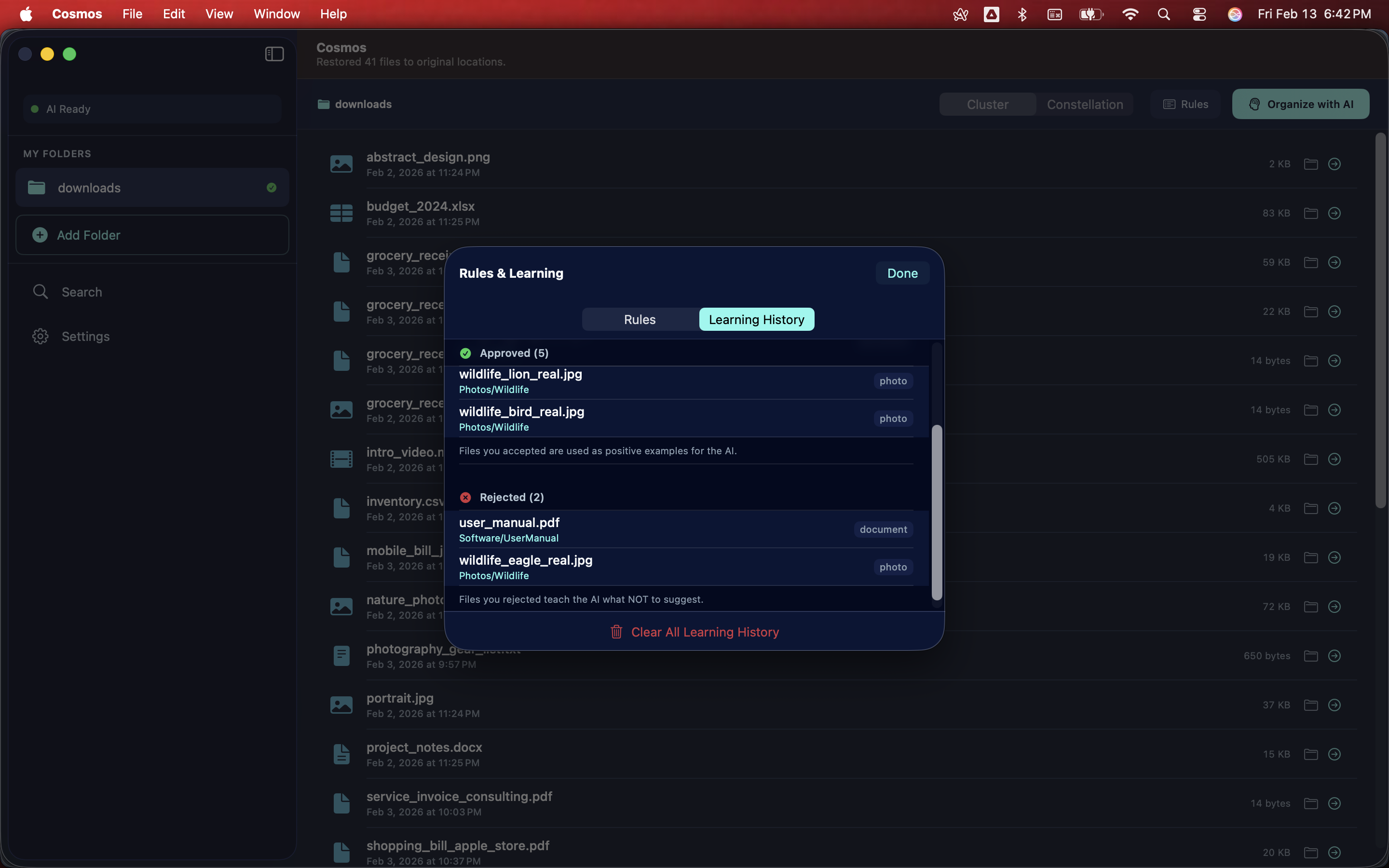 Cosmos gallery image