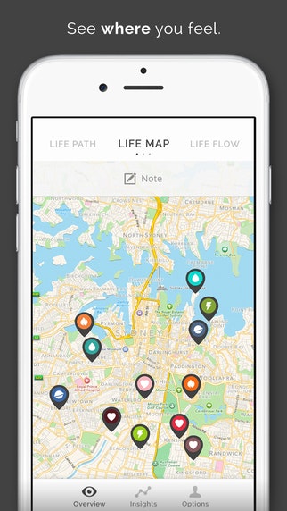 Realifex gallery image