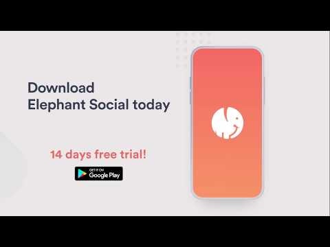 Elephant Social gallery image