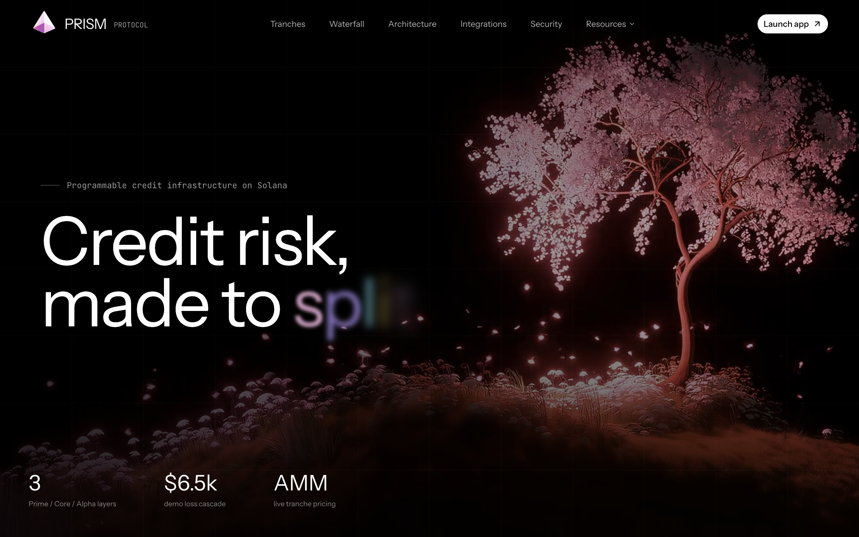 Prism protocol gallery image