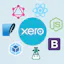 Xero Accounting Demo App