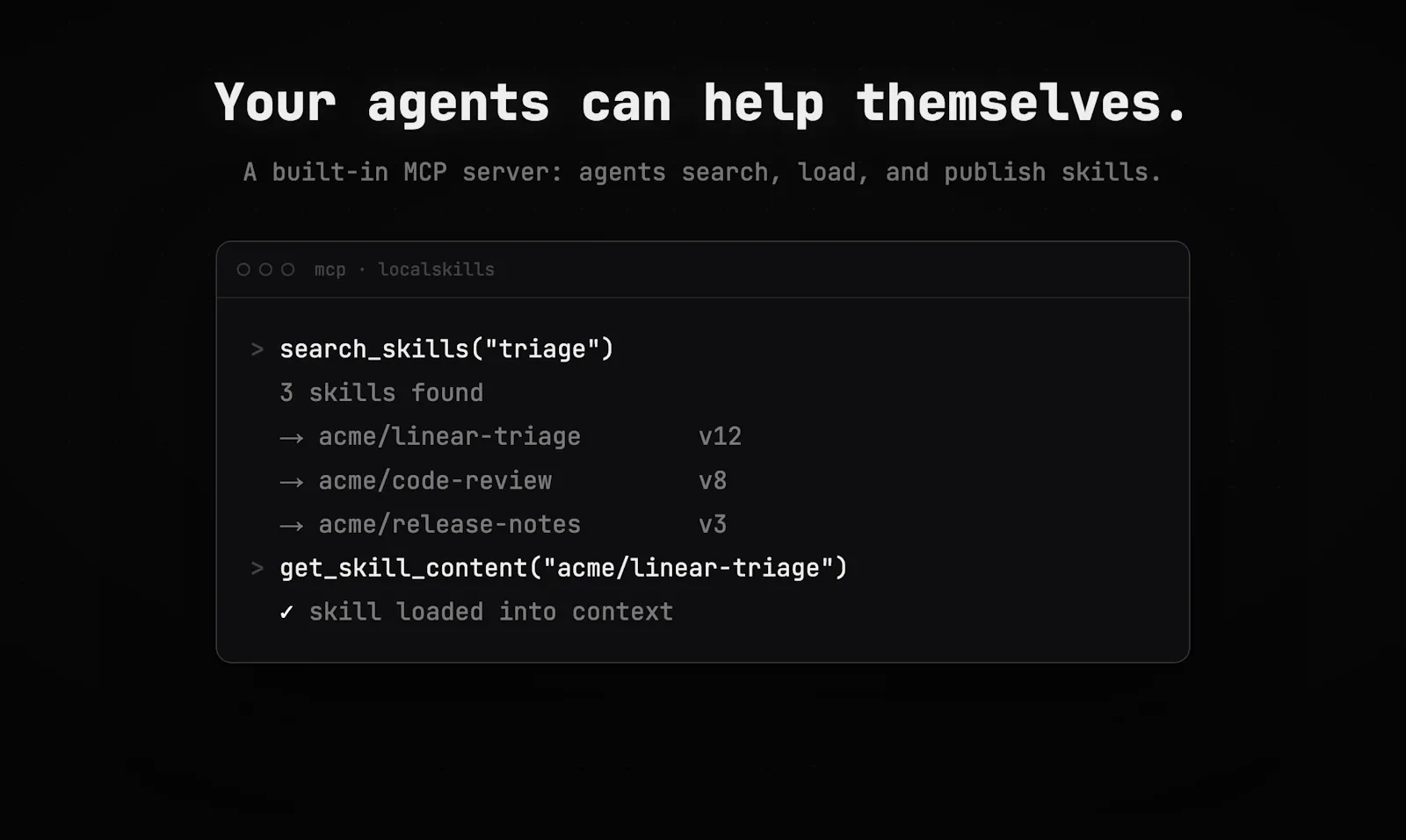 localskills.sh screenshot 5