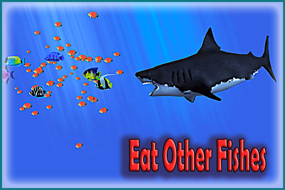 Angry Blue Shark 2016 gallery image