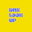 DNS Lookup