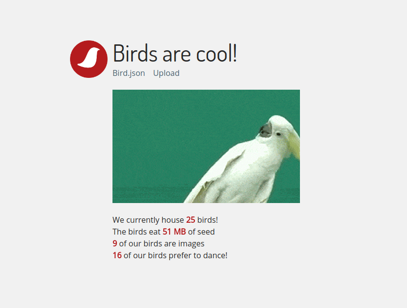 Birds are cool! gallery image