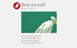 Birds are cool! media 3
