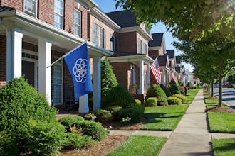 The International Flag of Planet Earth gallery image