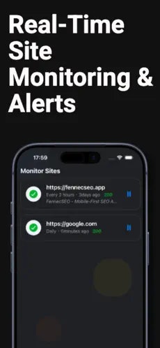 Fennec SEO Audit media 4